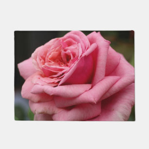 Roze Rose I  Floral fotografie Deurmat