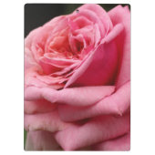Roze Rose I  Floral fotografie Klembord (Achterkant)