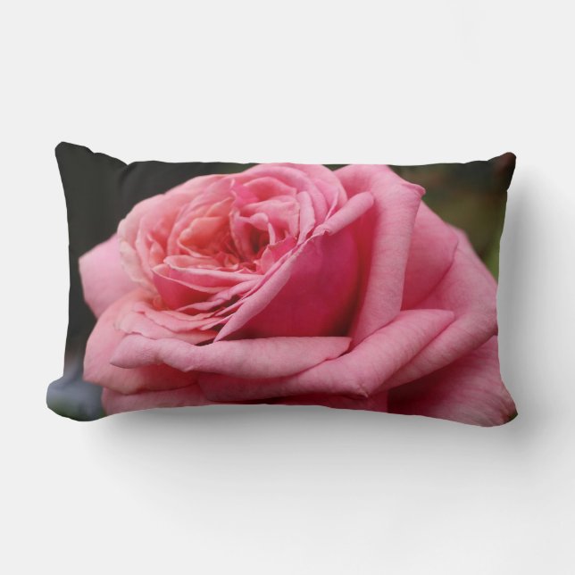 Roze Rose I  Floral fotografie Kussen (Voorkant)