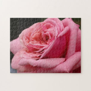 Roze Rose I  Floral fotografie Legpuzzel