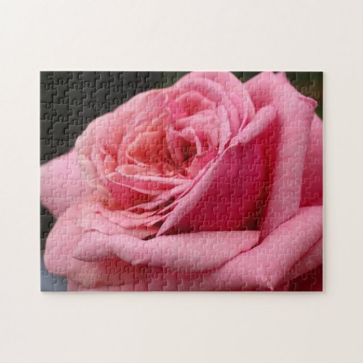 Roze Rose I  Floral fotografie Legpuzzel (Horizontaal)