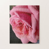 Roze Rose I  Floral fotografie Legpuzzel (Verticaal)