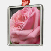 Roze Rose I  Floral fotografie Metalen Ornament (Links)