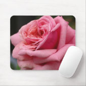 Roze Rose I Floral fotografie Muismat (Met muis)