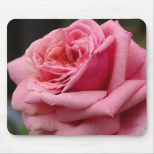 Roze Rose I Floral fotografie Muismat