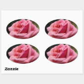 Roze Rose I  Floral fotografie Ovale Sticker (Vel)