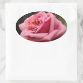 Roze Rose I  Floral fotografie Ovale Sticker (Tas)
