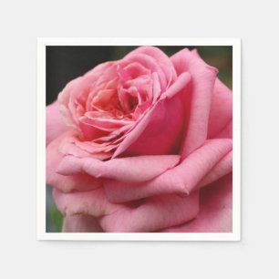 Roze Rose I  Floral fotografie Servet
