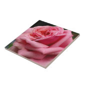 Roze Rose I  Floral fotografie Tegeltje (Zijkant)