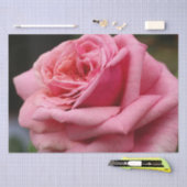 Roze Rose I  Floral fotografie Tissuepapier (Craft)