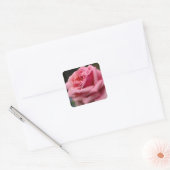 Roze Rose I  Floral fotografie Vierkante Sticker (Envelop)