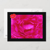 Roze Rose II Briefkaart (Voorkant / Achterkant)