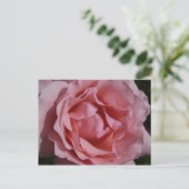Roze Rose II Floral Briefkaart (Staand voorkant)