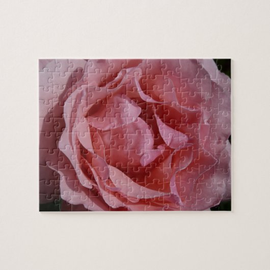 Roze Rose II  Floral Legpuzzel (Horizontaal)