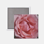 Roze Rose II  Floral Magneet (Voorkant / Achterkant)