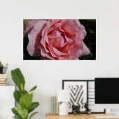 Roze Rose II  Floral Poster (Thuiskantoor)