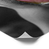 Roze Rose II Poster (Hoek)