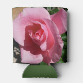 Roze Rose III Tuin Bloemen Blikjeskoeler (Achterkant)