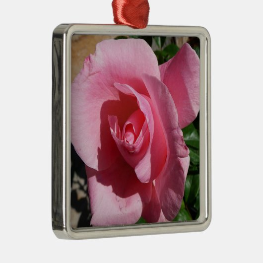 Roze Rose III Tuin Bloemen Metalen Ornament (Rechts)