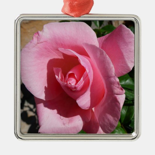 Roze Rose III Tuin Bloemen Metalen Ornament (Voorkant)