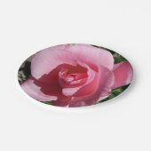 Roze Rose III Tuin Bloemen Papieren Bordje (Gekanteld)