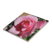 Roze Rose III Tuin Bloemen Tegeltje (Zijkant)