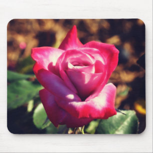 Roze Rose in de Hoge Zon Muismat