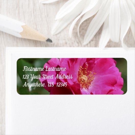 Roze Rose in full bloom Floral Address Etiket (Insitu)