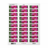 Roze Rose in full bloom Floral Address Etiket (Full Sheet)
