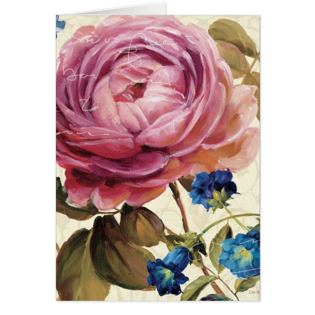 Roze Rose in het volste blok (Voorkant)