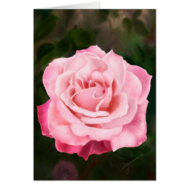 Roze Rose in het volste blok (Voorkant)