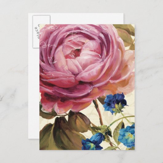 Roze Rose in het volste blok Briefkaart (Voorkant / Achterkant)