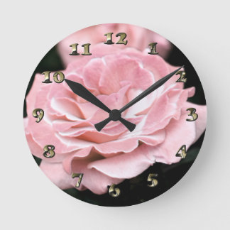 Roze Rose in het volste blok Ronde Klok