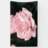 Roze Rose in het volste blok Spandoek (Verticaal)
