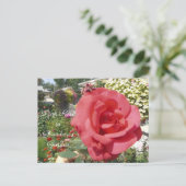 Roze Rose in oma's tuin Briefkaart (Staand voorkant)
