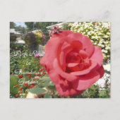 Roze Rose in oma's tuin Briefkaart (Voorkant)