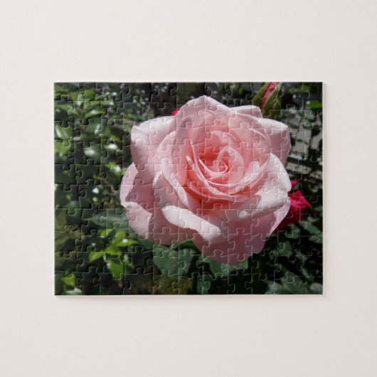 Roze Rose Jigzaag Puzzle Legpuzzel (Horizontaal)