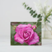 Roze Rose jjhelene Briefkaart Design (Staand voorkant)