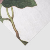 Roze Rose Junk Journal Elements — Blad Tissuepapier (Detail)