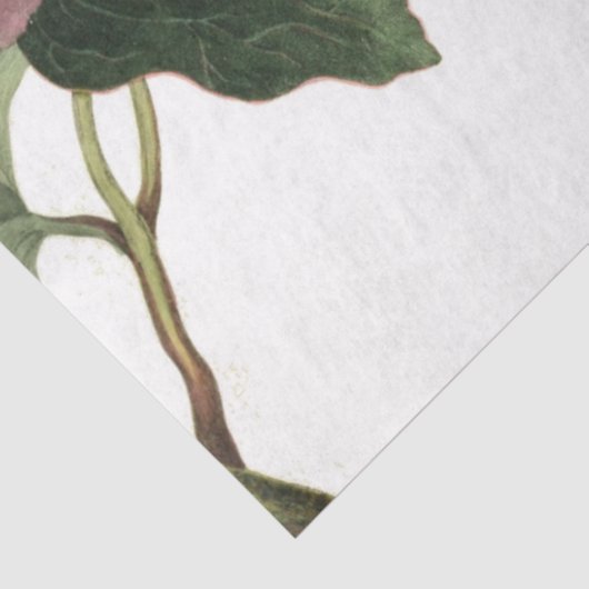 Roze Rose Junk Journal Elements — Blad Tissuepapier (Detail)