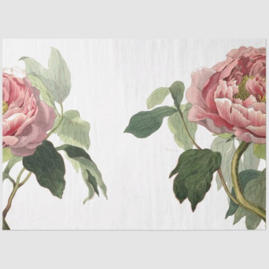 Roze Rose Junk Journal Elements — Blad Tissuepapier (Voorkant)