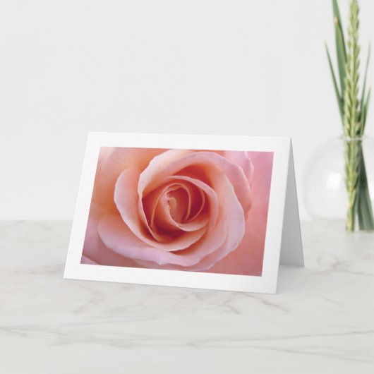 Roze Rose Kaart (Voorkant)