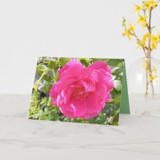 Roze Rose Kaart (Gele Bloem)