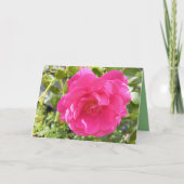 Roze Rose Kaart (Voorkant)