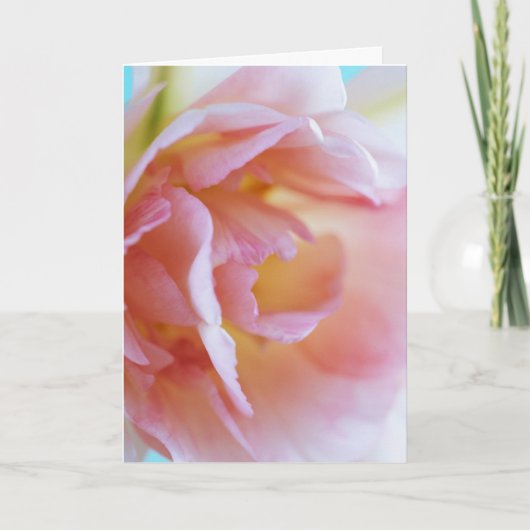 Roze Rose Kaart (Voorkant)