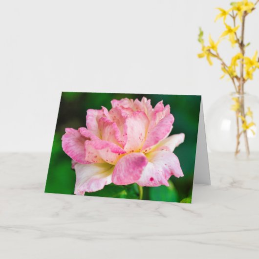 Roze Rose Kaart (Gele Bloem)