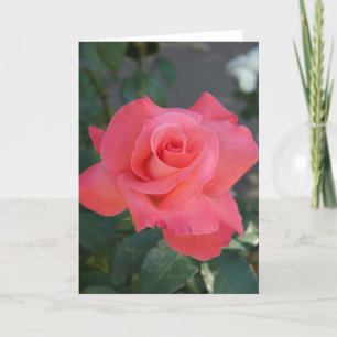  Roze Rose Kaart