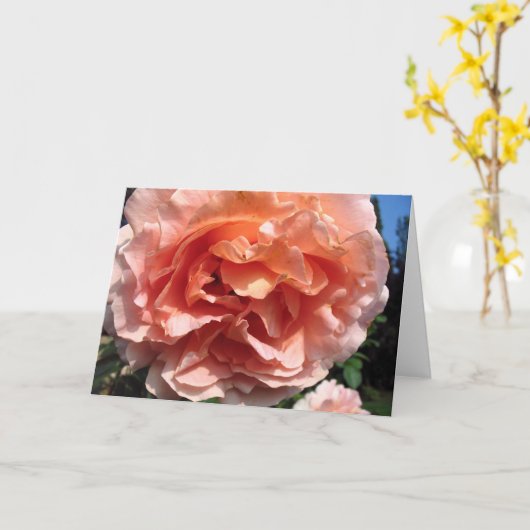 Roze Rose Kaart (Gele Bloem)