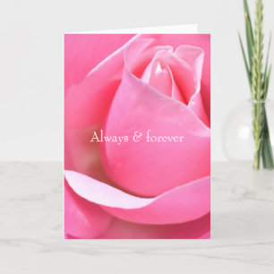 Roze Rose Kaart