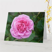 Roze Rose Kaart (Gele Bloem)